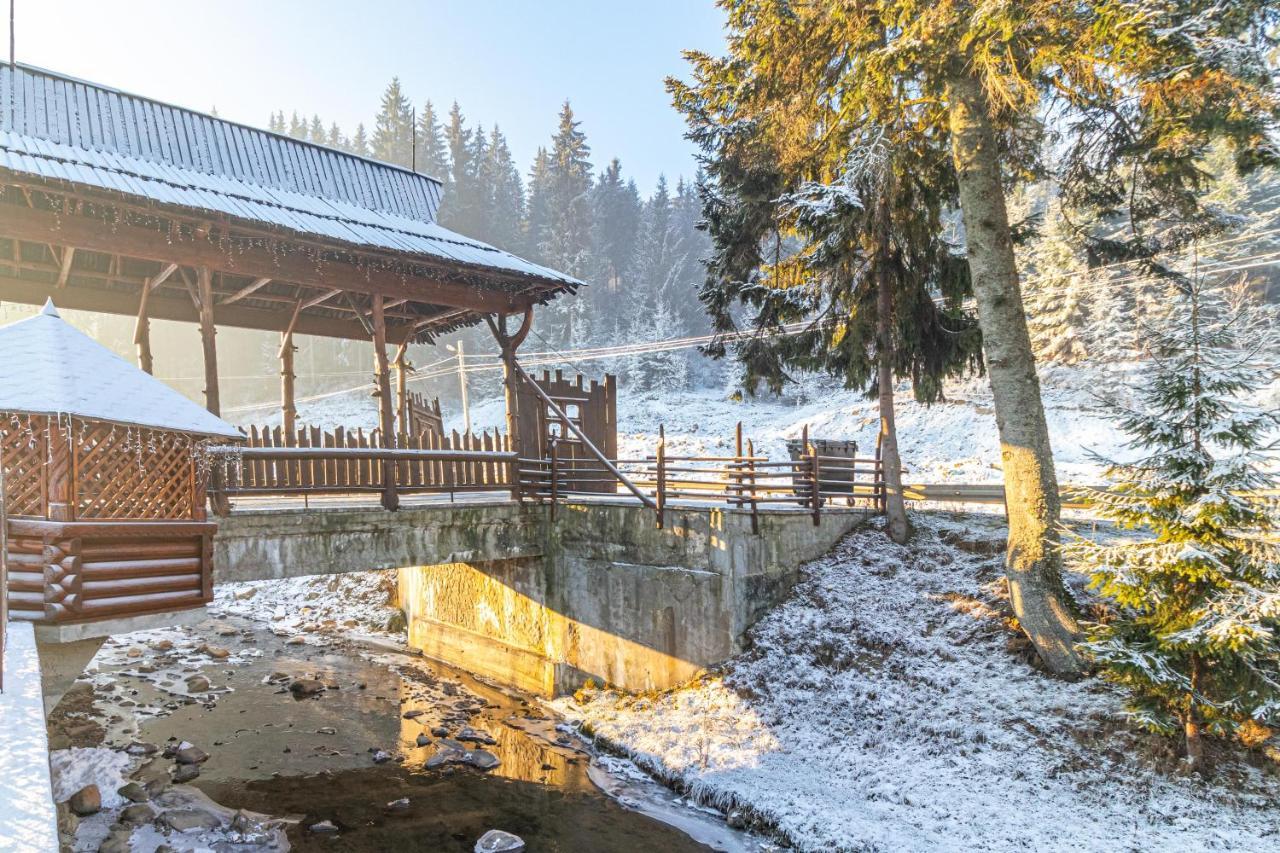 Villa Nikoletta Spa Bukovel Exterior foto
